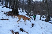 92 Rientro su sentiero e bosco innevato